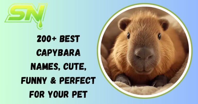 Capybara Names