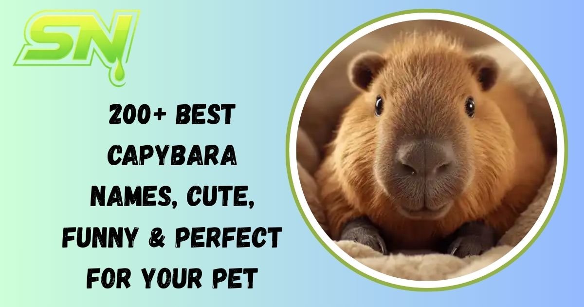 Capybara Names