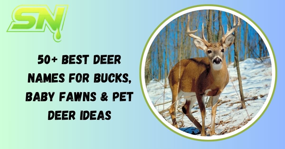 Deer Names
