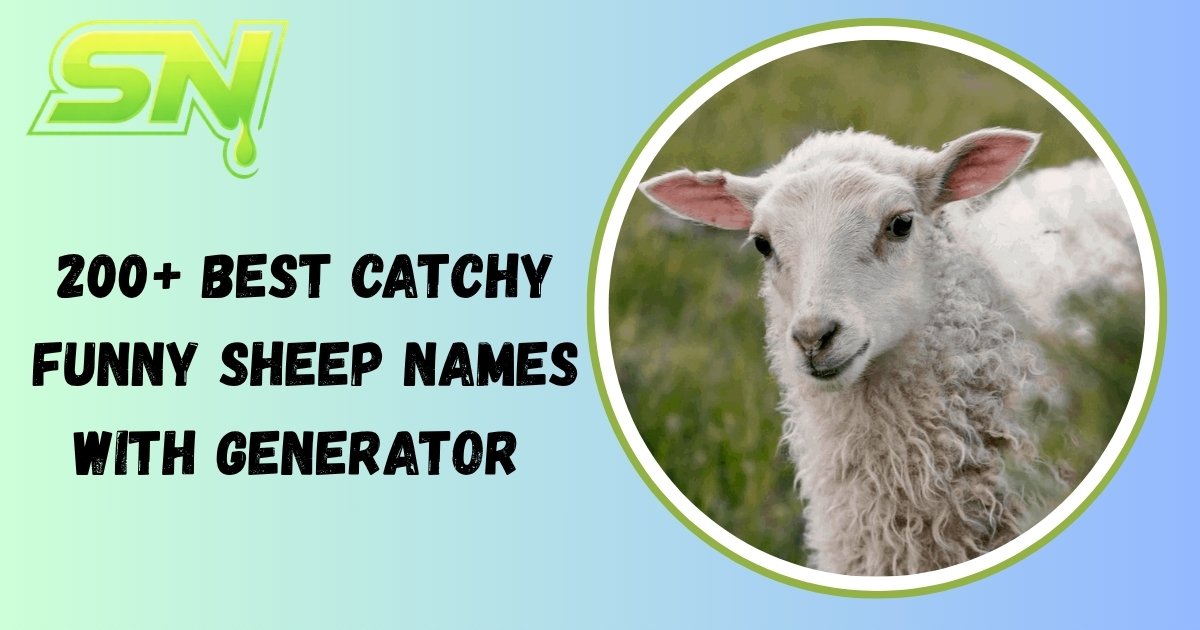 Funny Sheep Names