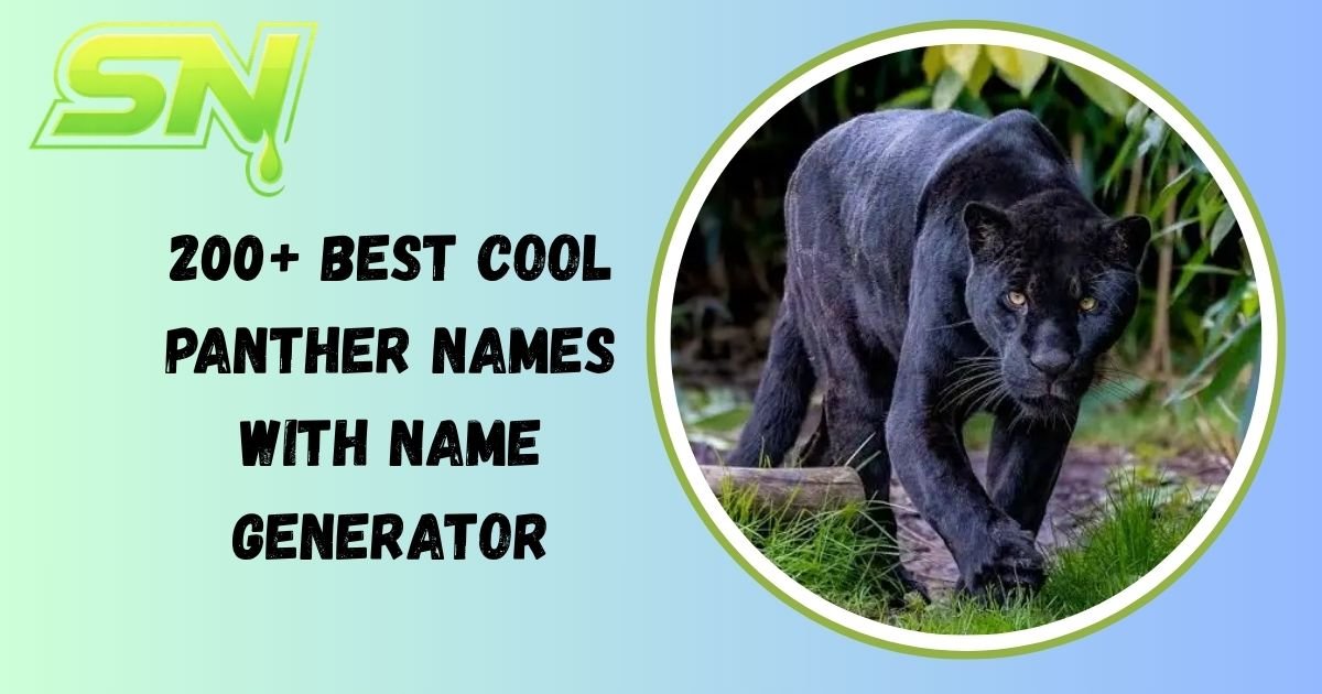 Panther Names