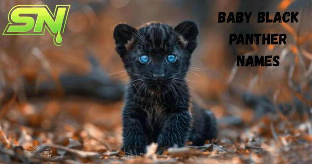 Baby Black Panther Names
