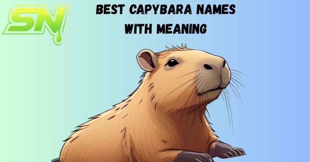 Best Capybara Names With Meaning
