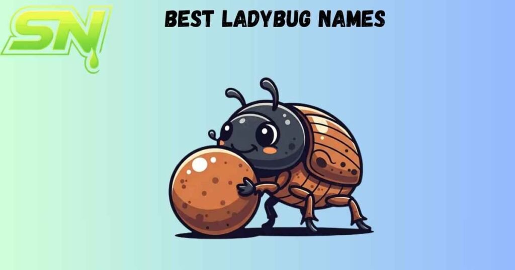 Best Ladybug Names