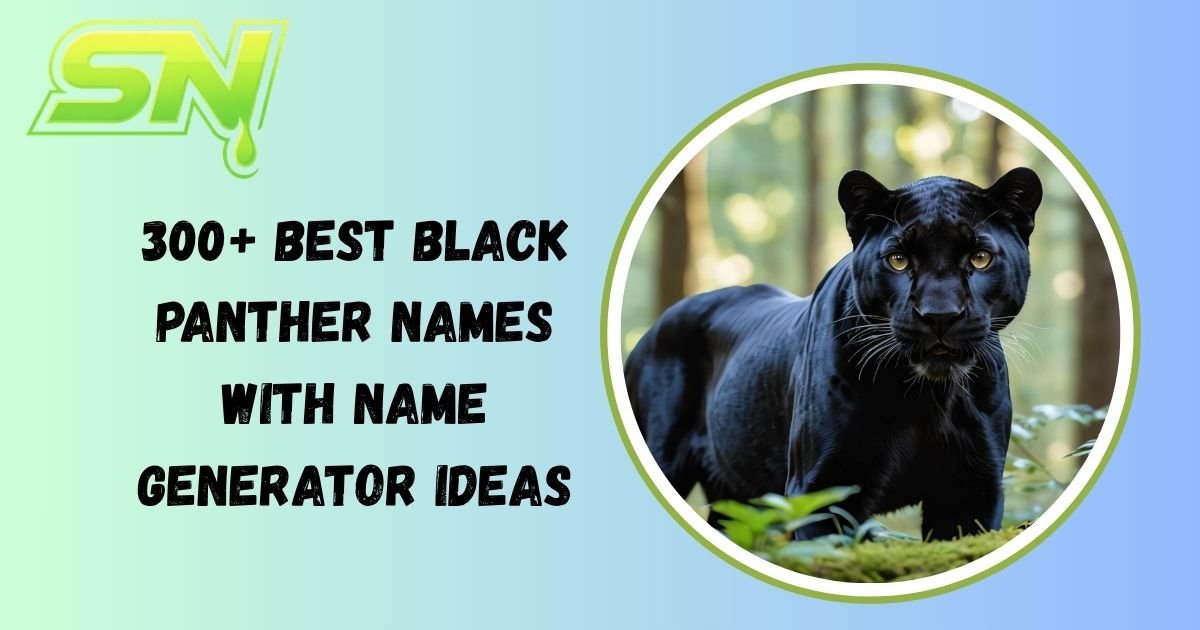 Black Panther Names