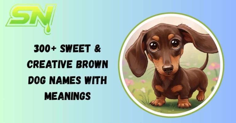 Brown Dog Names