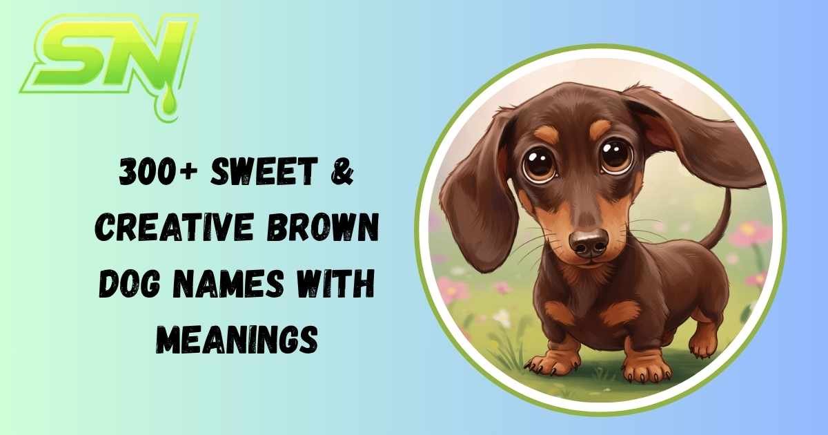 Brown Dog Names