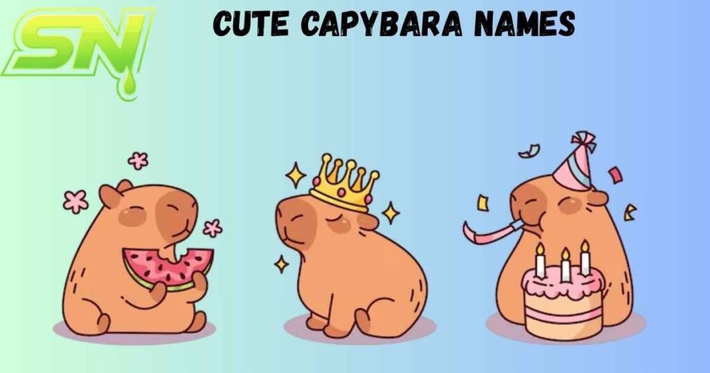 Cute Capybara Names