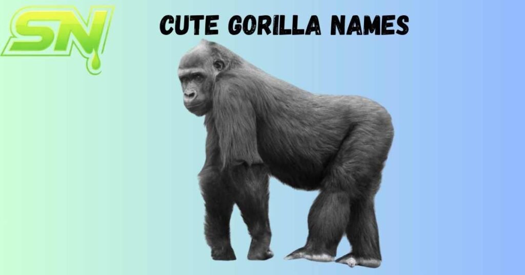 Cute Gorilla Names