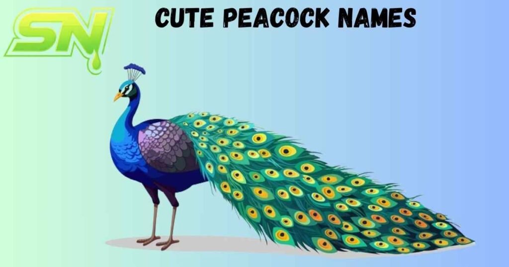 Cute Peacock Names