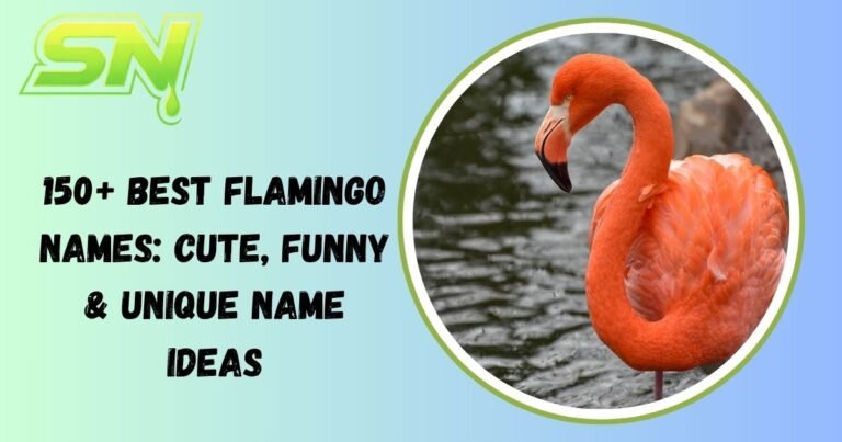 Flamingo Names