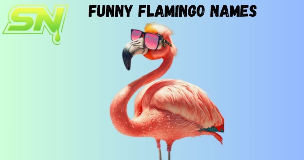 Funny Flamingo Names 