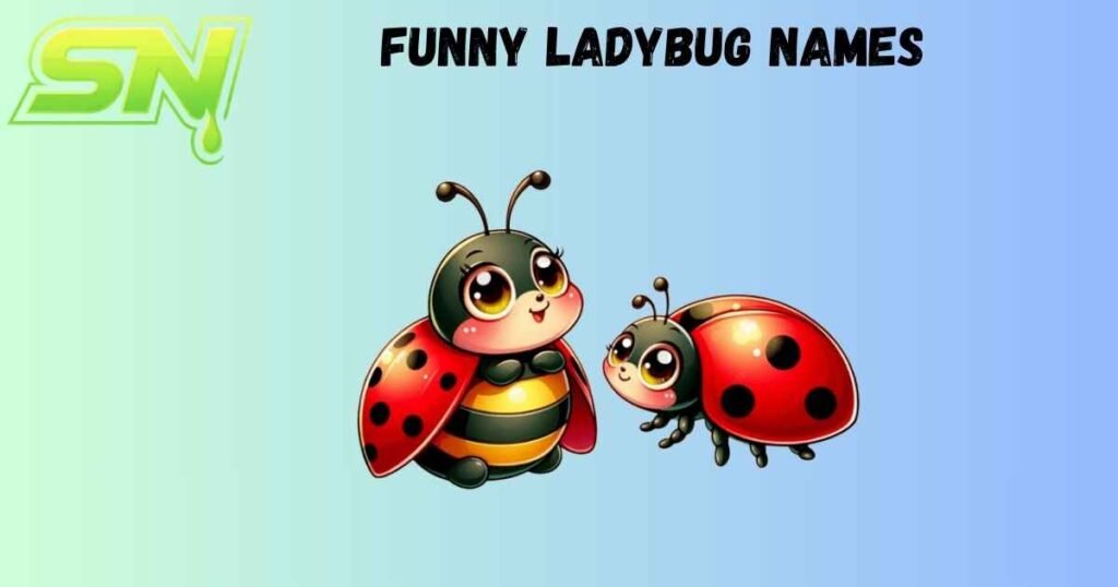 Funny Ladybug Names