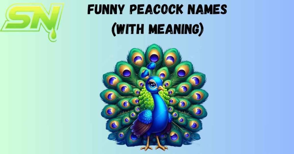 Funny Peacock Names (With Meaning)