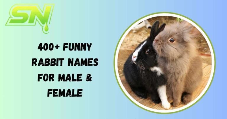 Funny Rabbit Names