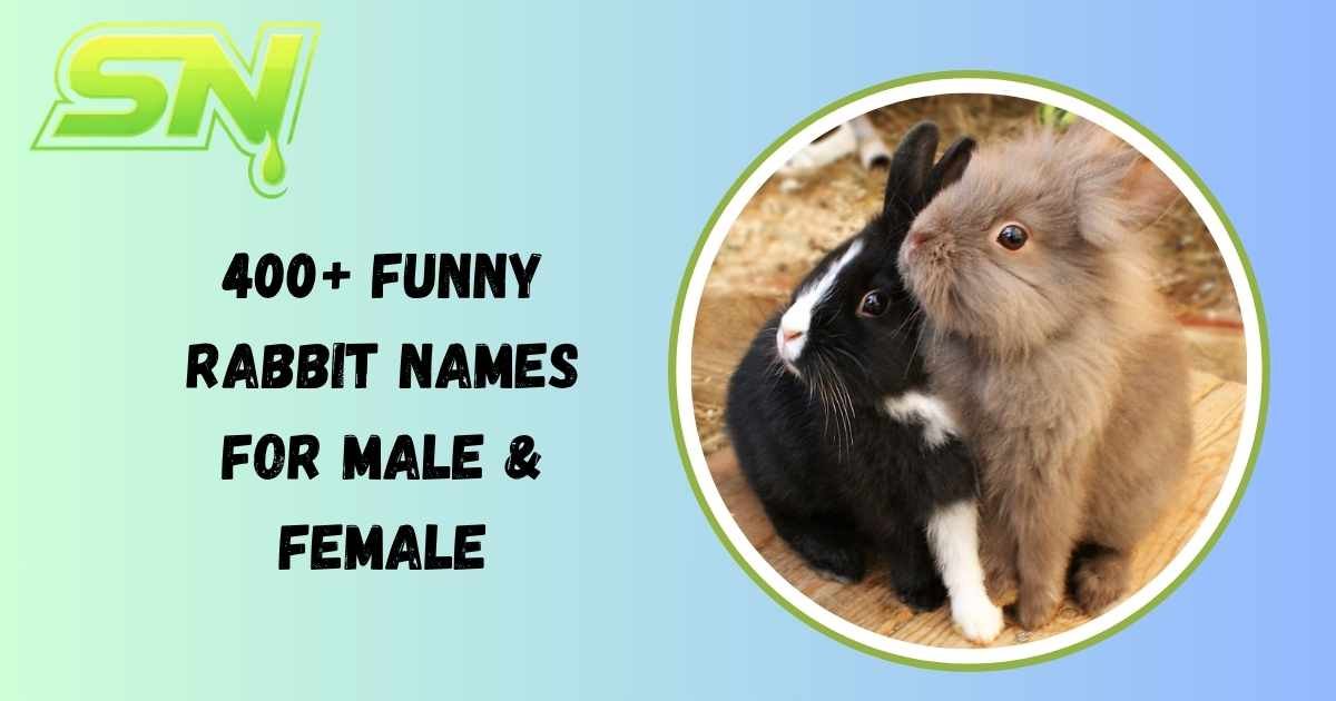 Funny Rabbit Names