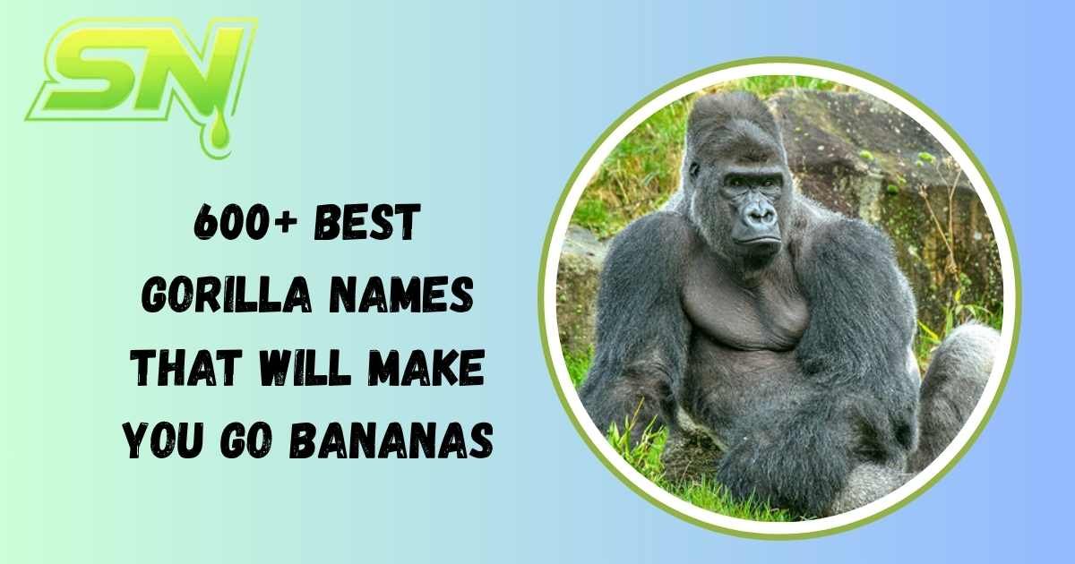 Gorilla Names