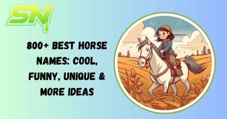 Horse Names