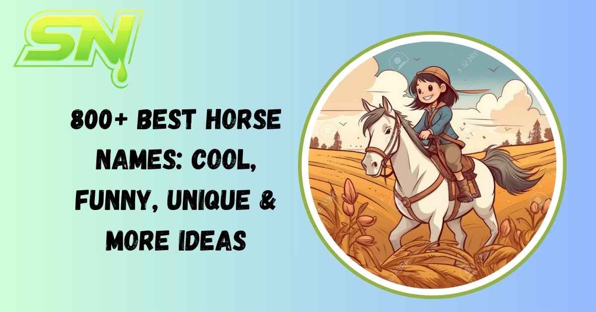 Horse Names