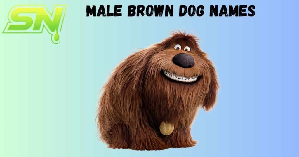 Male Brown Dog Names