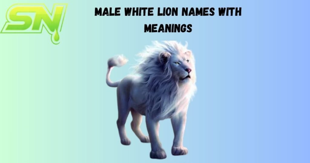 Male White Lion Names with Meanings