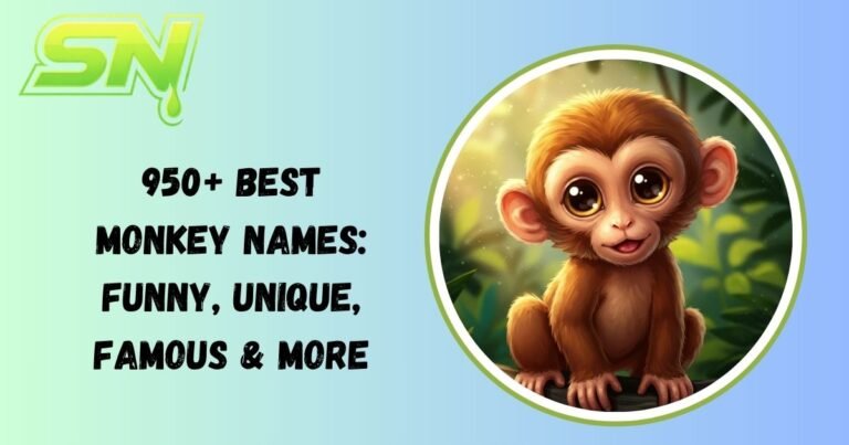 Monkey Names