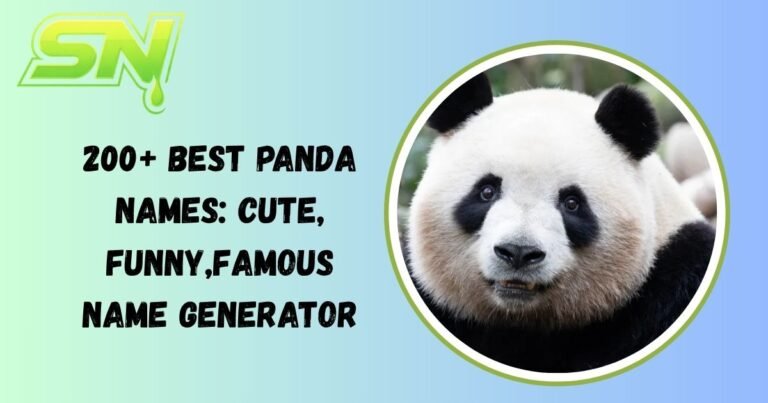 Panda Names