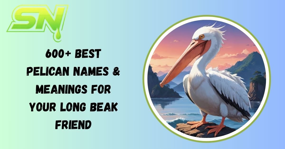 Pelican Names
