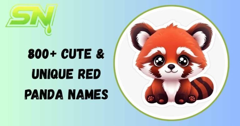 Red Panda Names