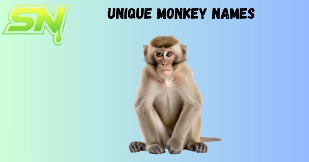 Unique Monkey Names