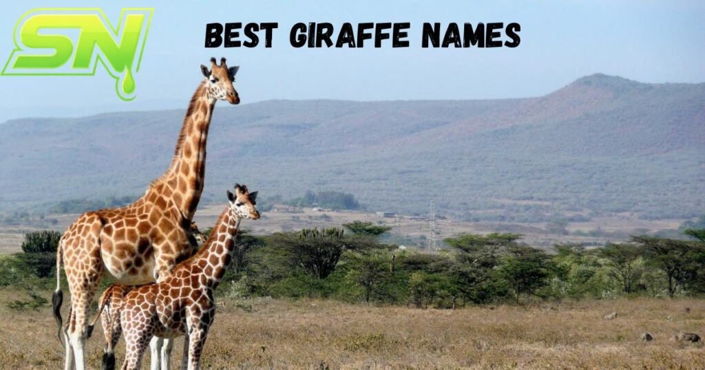 Best Giraffe Names