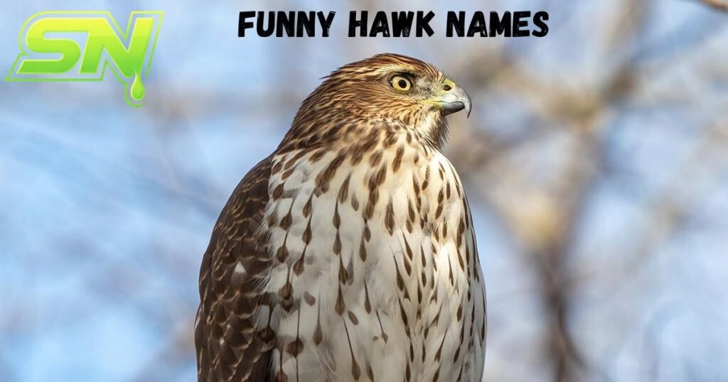 Funny Hawk Names