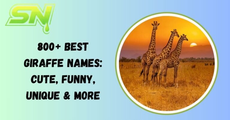 Giraffe Names