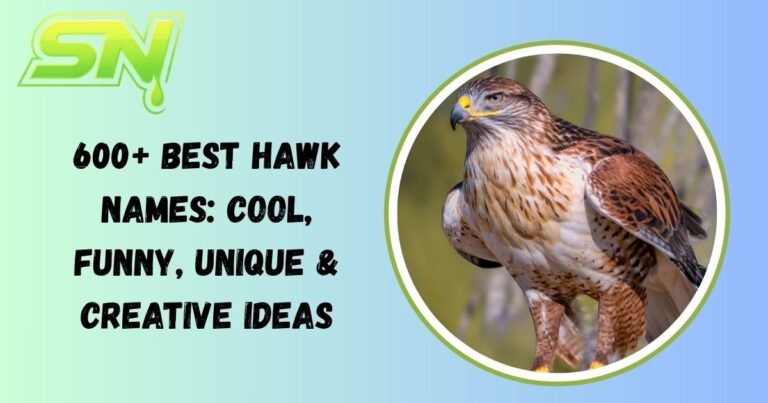 Hawk Names