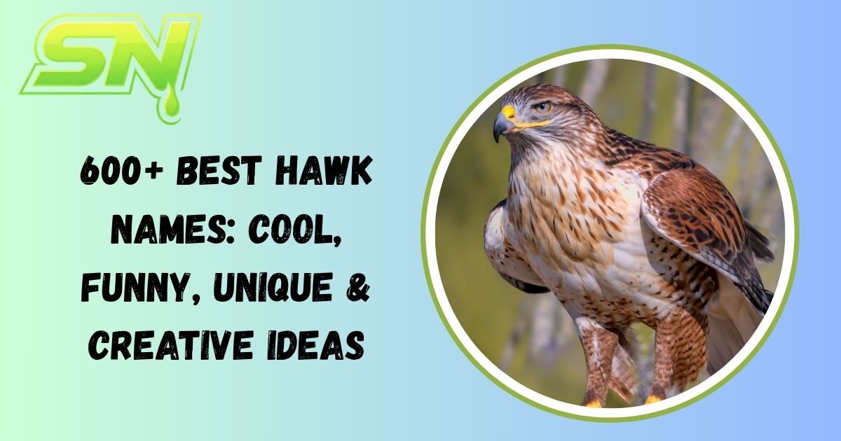 Hawk Names