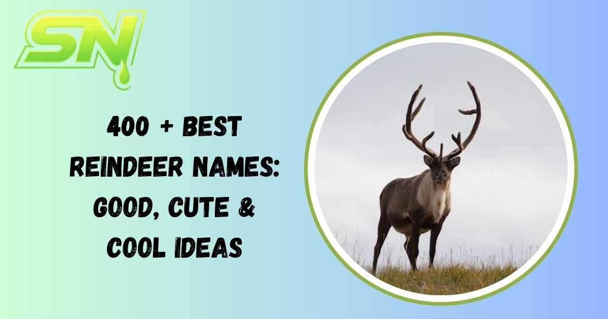 Reindeer Names